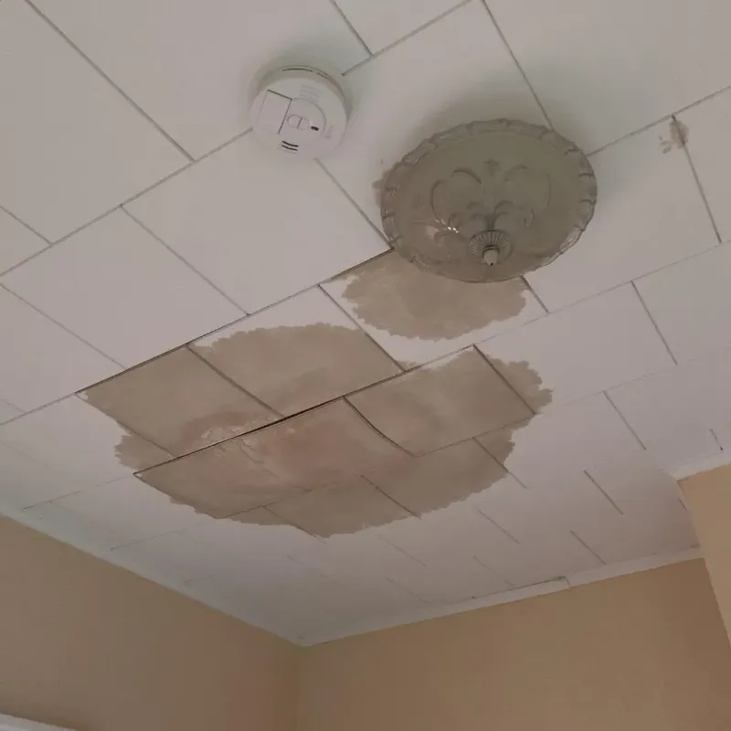 Ceiling Water Damage Repair in Hamilton County, IN
