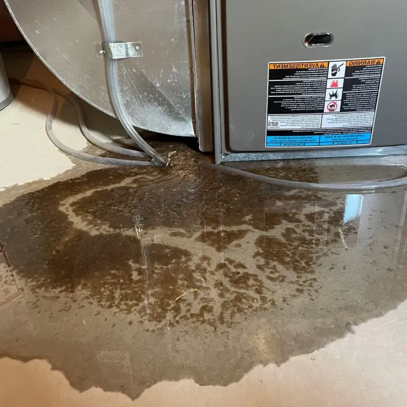 Pipe Burst and Leak Restoration in Hamilton County, IN