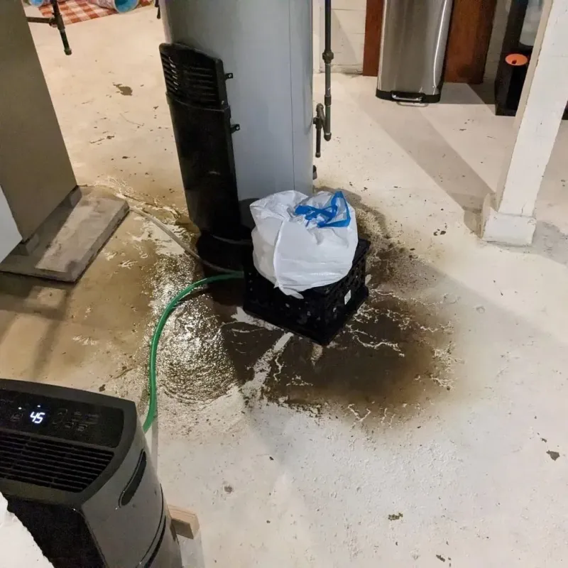 Sewage Backup Cleanup Service in Hamilton County, IN